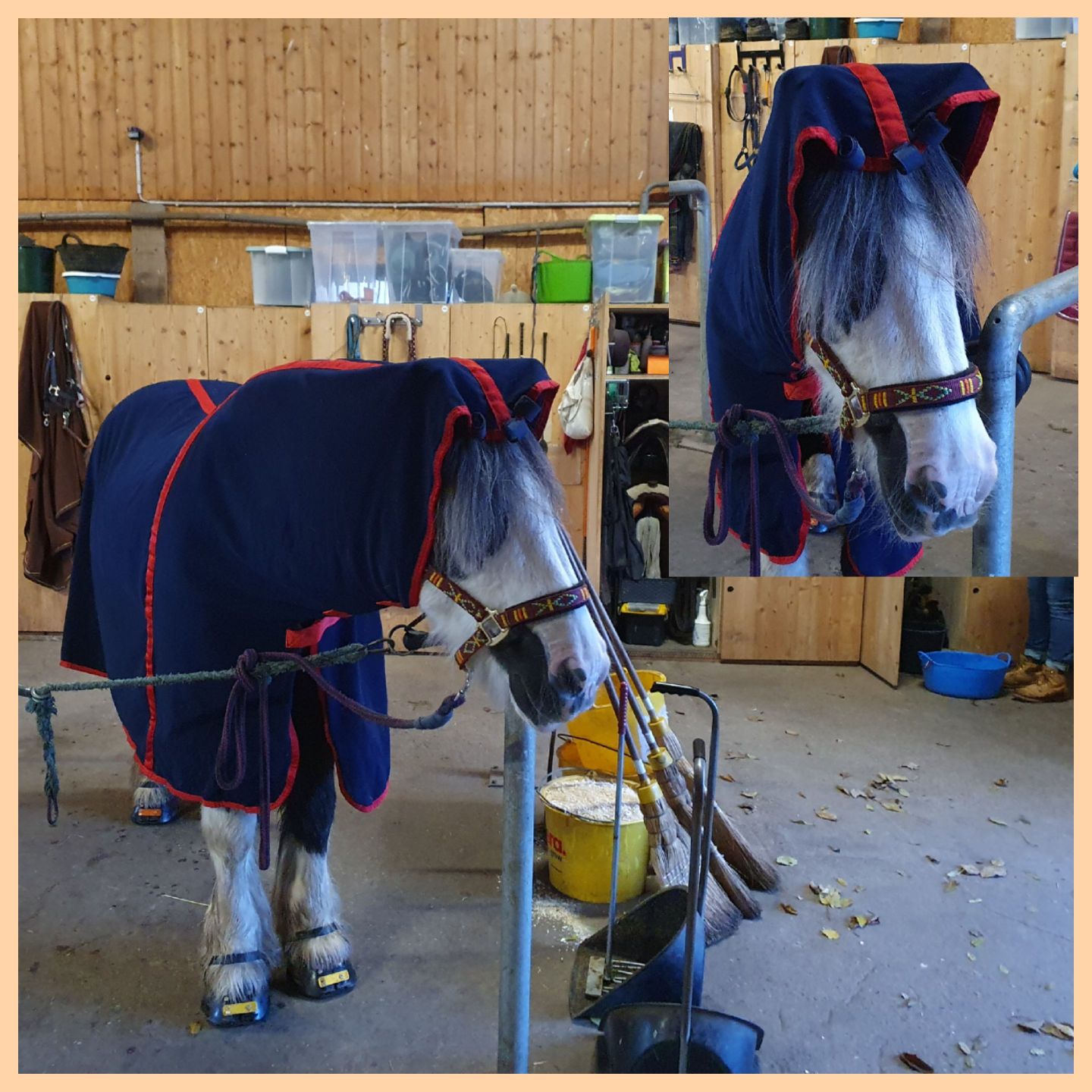 2023 11 November 610